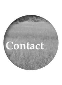 Monozygote Productions4